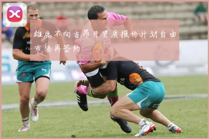 雄鹿不向吉昂开资质报价计划自由市场再签约